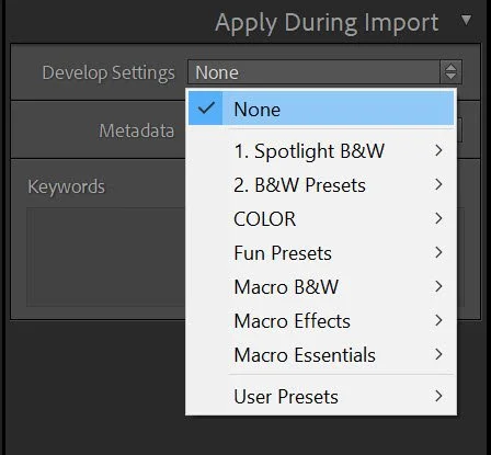 apply during import panel