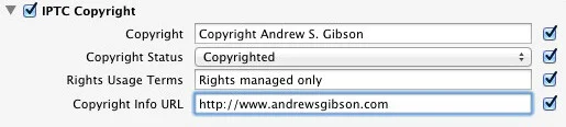 setting copyright information