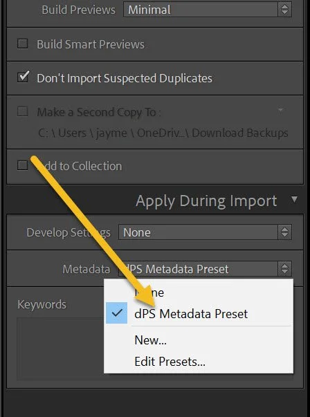 dPS metadata preset