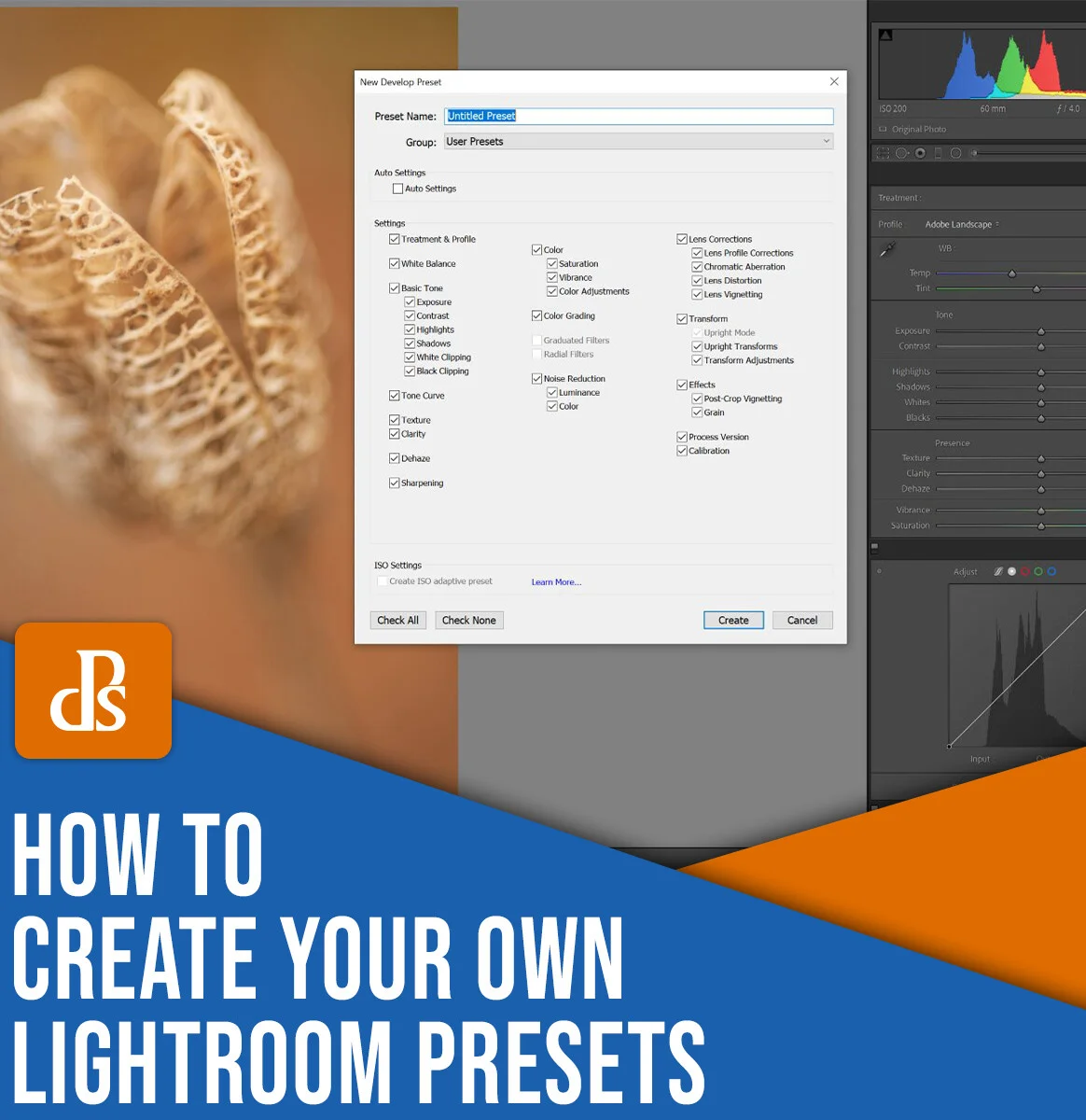 Mastering Lightroom: Create Your Own Custom Presets in a Few Steps