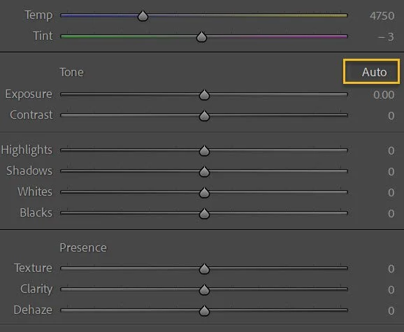 the Lightroom Auto button