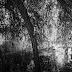 Exploring Italy Through the Lens: The Leica M10 Monochrom and Q2 Adventures