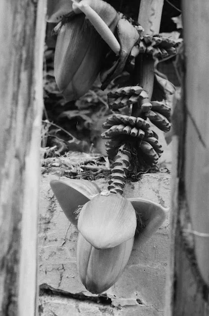 Leica M7 Shot