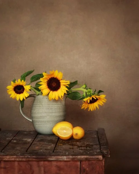 Still life photography