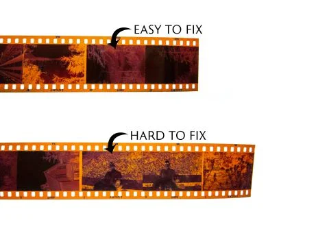 Film Photography News — September 2026 Recap: Polaroid Mod, Phoenix in 4x5, Save $ on Film, and Develop C-41 at Room Temp