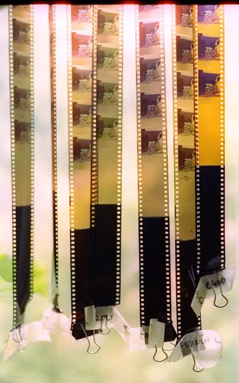 New Resources for Affordable Creative Photography: A Monthly Newsletter for GOLD Members