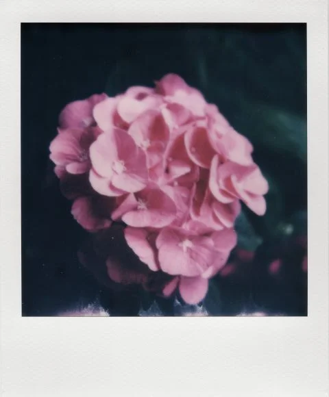 Understanding Film Prices, Scanning Techniques, and Instant Photo Myths for Film Enthusiasts