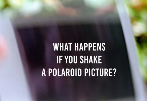 What Happens if You Shake a Polaroid Picture? An Experiment 🎞️