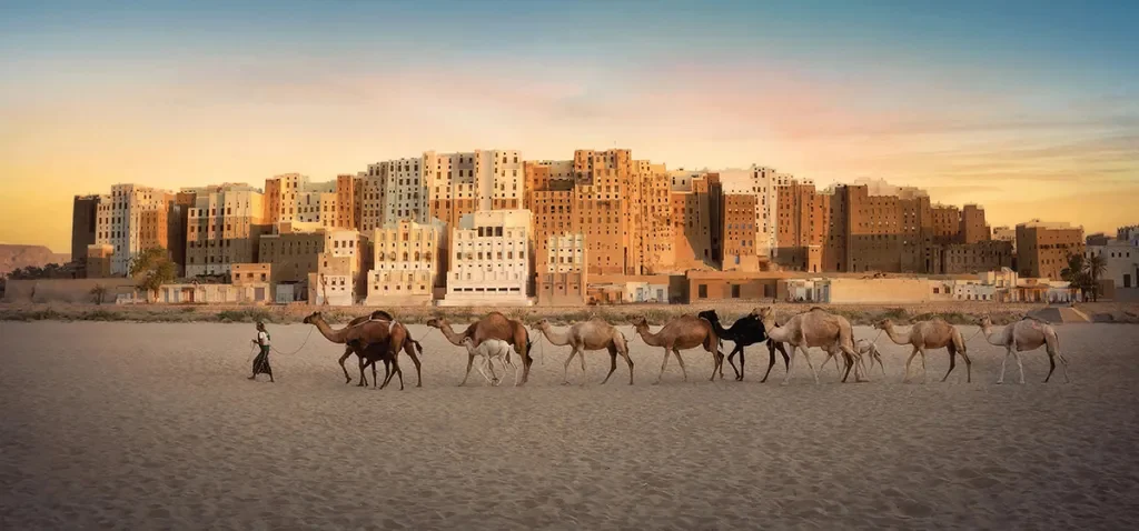 distinctive mud-brick towers of Shibam rise across the background with a person and camels in the foreground
