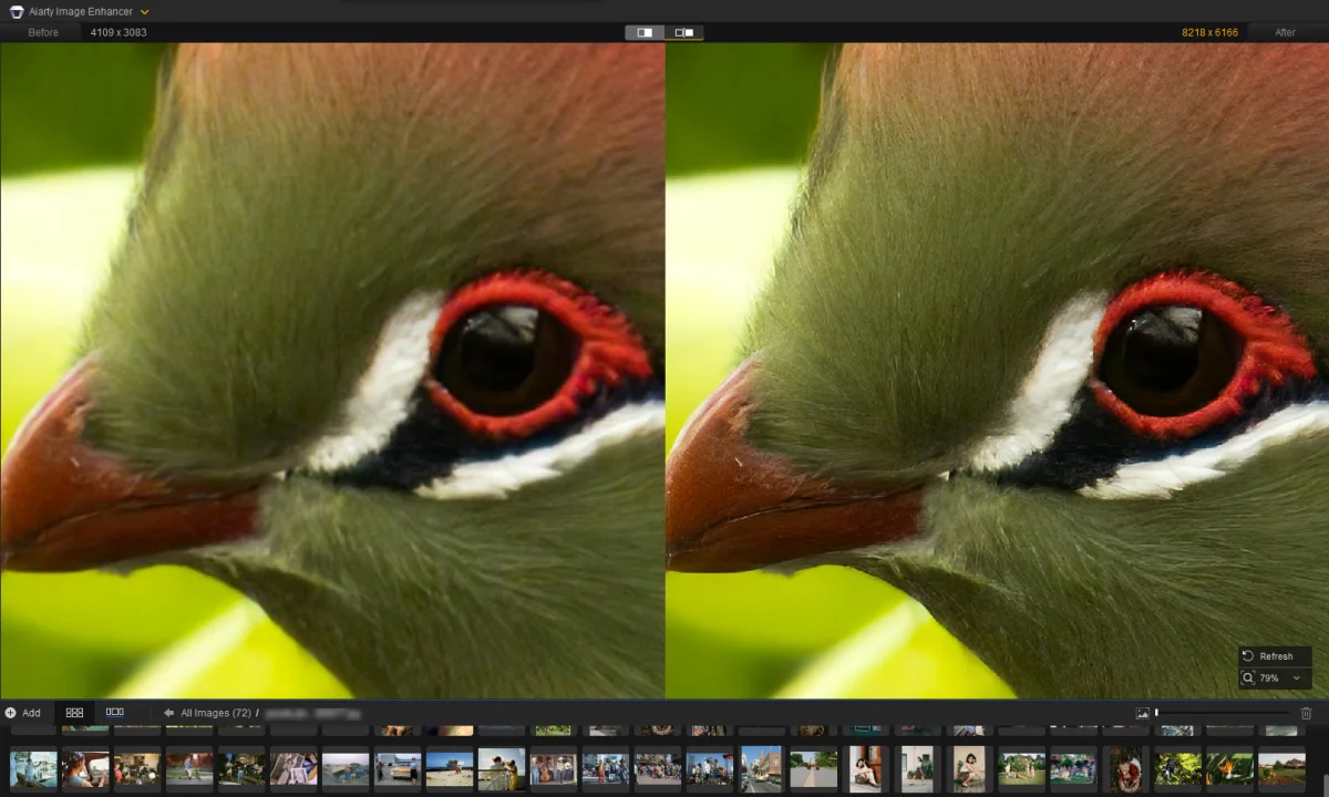 Wildlife Photo Enhancement with Aiarty
