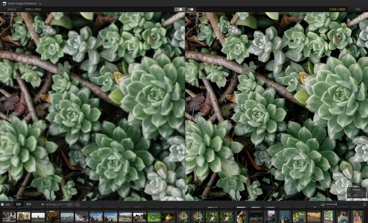 RAW Image Enhancement with Aiarty