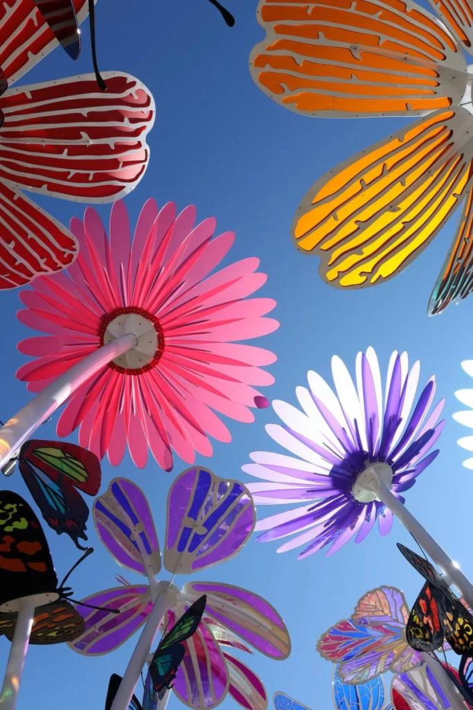 'bugs eye' view looking up at flower sculptures