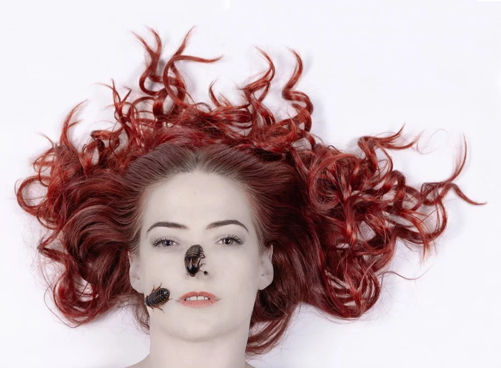woman with dark red hair portrait laying against white background with two cockroaches on her face