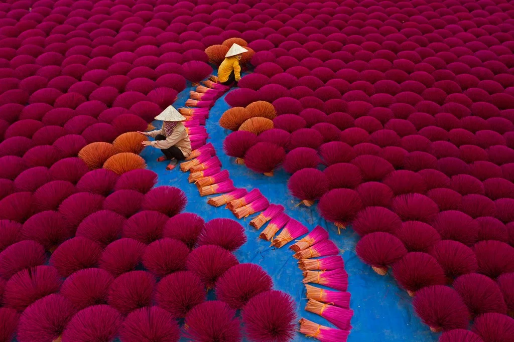 incense sticks being laid out to dry