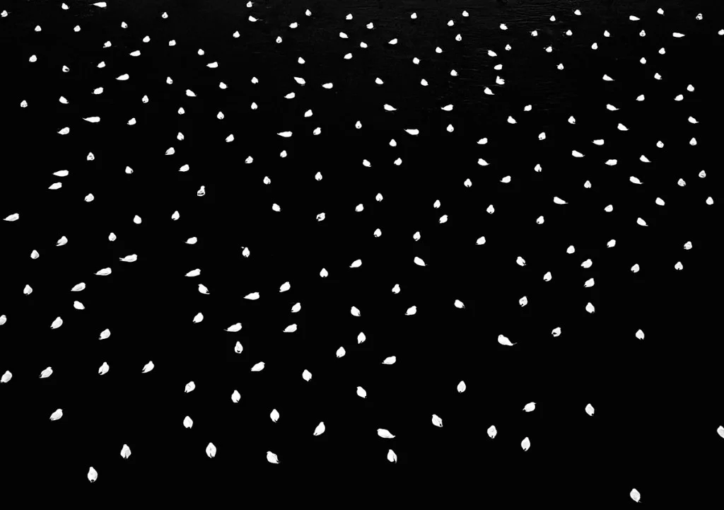black and white photo of 100s of seagulls sat in water