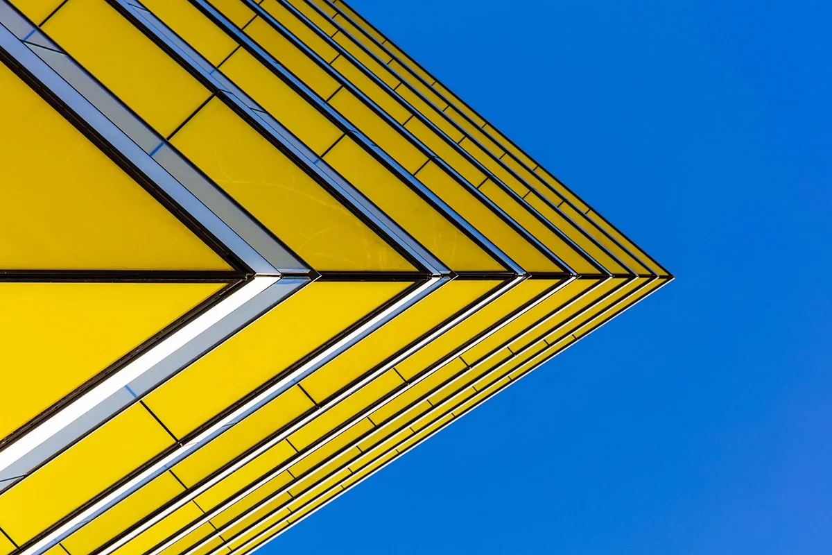 Celebrating Vibrant Colors: Highlights from the APOY 2025 Photography Competition