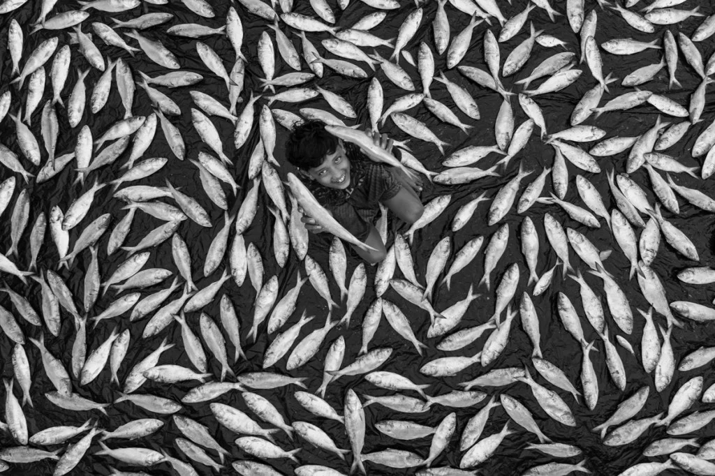 young boy sat amongst large pile of fish