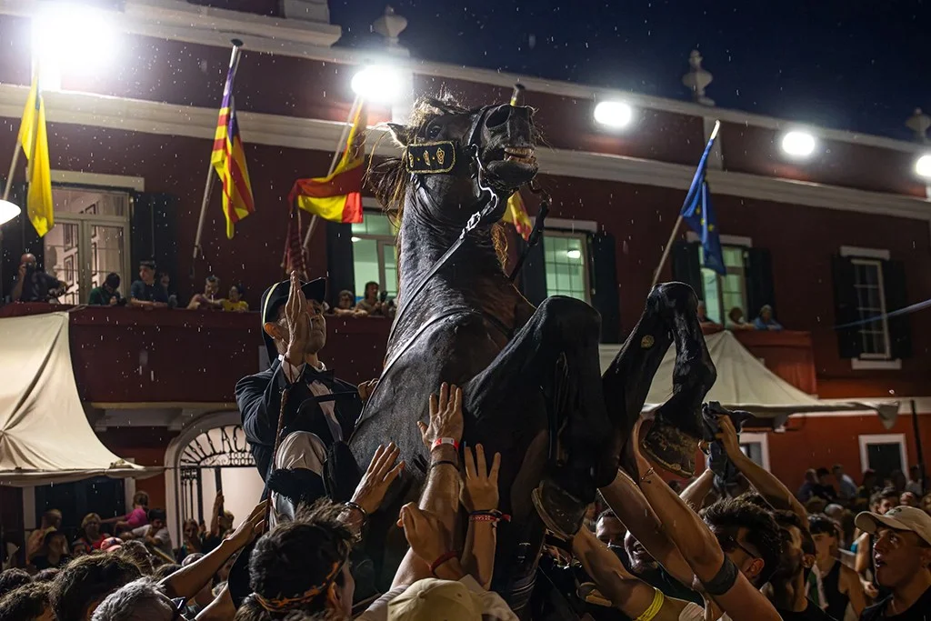 Rider on a horse amidst a crowd of people