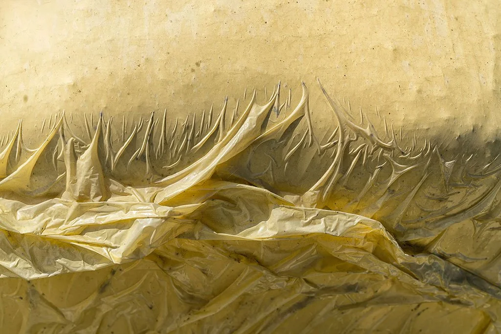 Abstract concept of an ocean through plastic