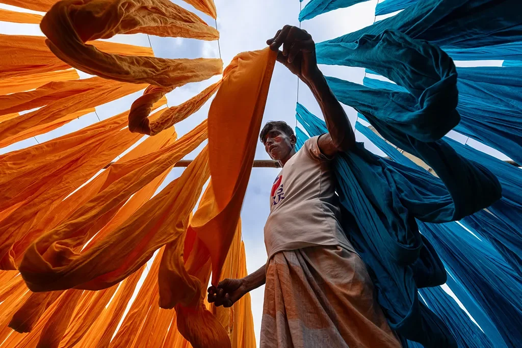 Key Highlights from the International Amateur Photographer of the Year 2025 Competition Revealed