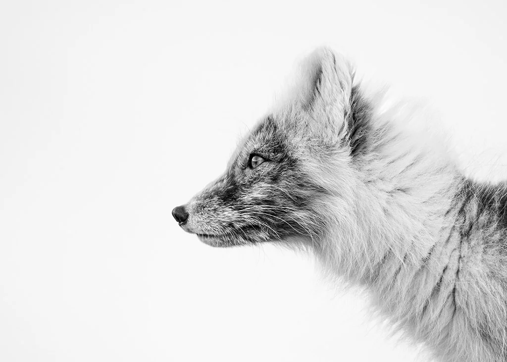 2024 Amateur Photographer of the Year Winners and Highlights