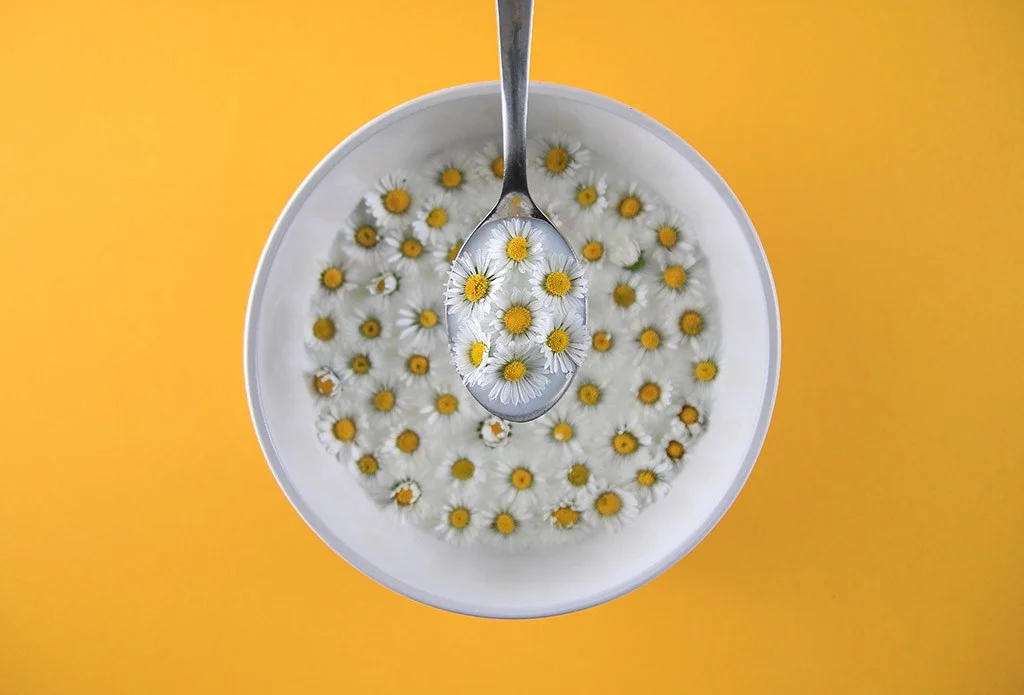 bowl of daisy flowers with a spoon holding more daisys looking like cereal