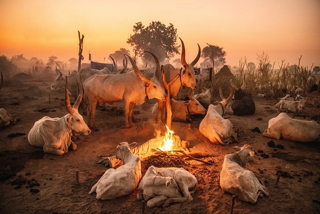Quiescence in the south Sudan cattle camp, APOY 2023 Round Two travel winners