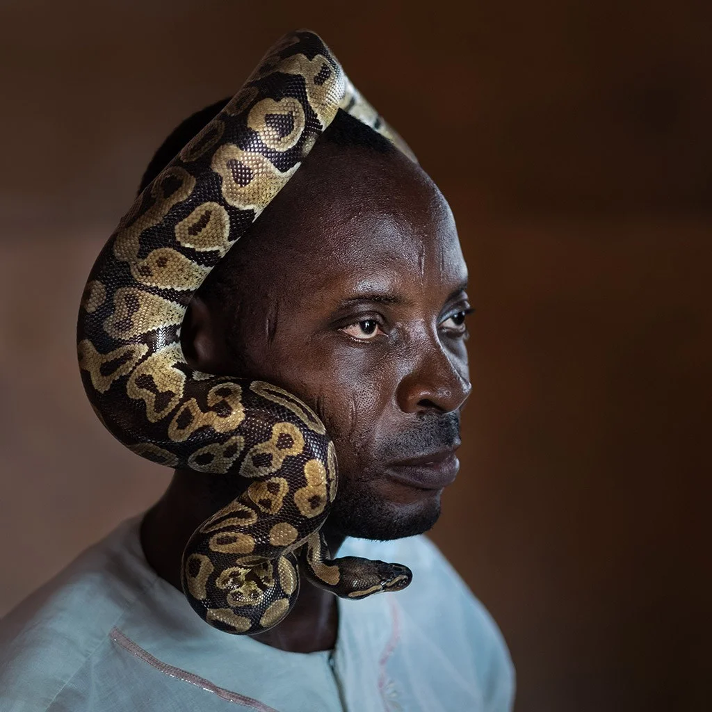 Portrait of a man with a python