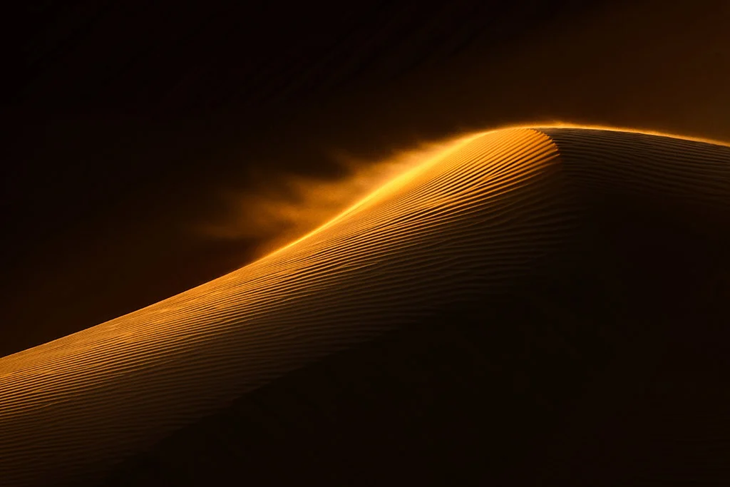 Desert Beauty and Talent Shine in Recent Amateur Photographer Competition