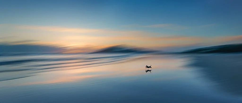 Intentional camera movement beach scene with dog jumping