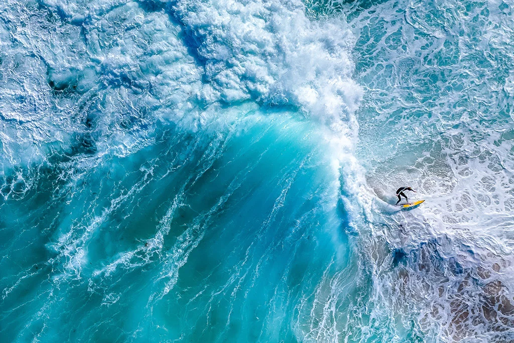 APOY Round Four Highlights Action Photography Winners and Techniques
